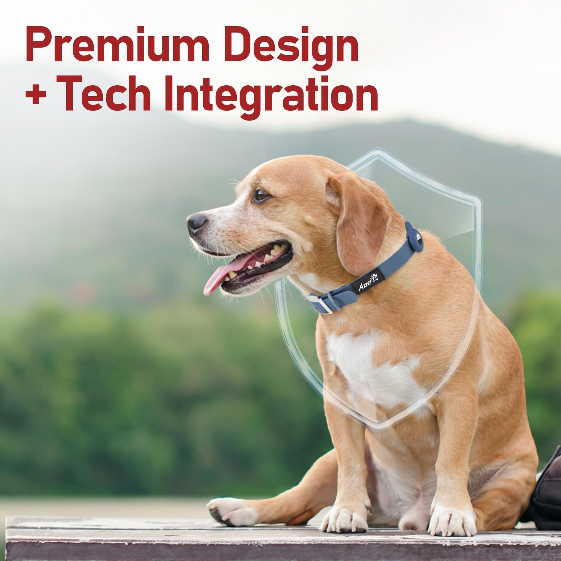 Colour Trace Dog Collar