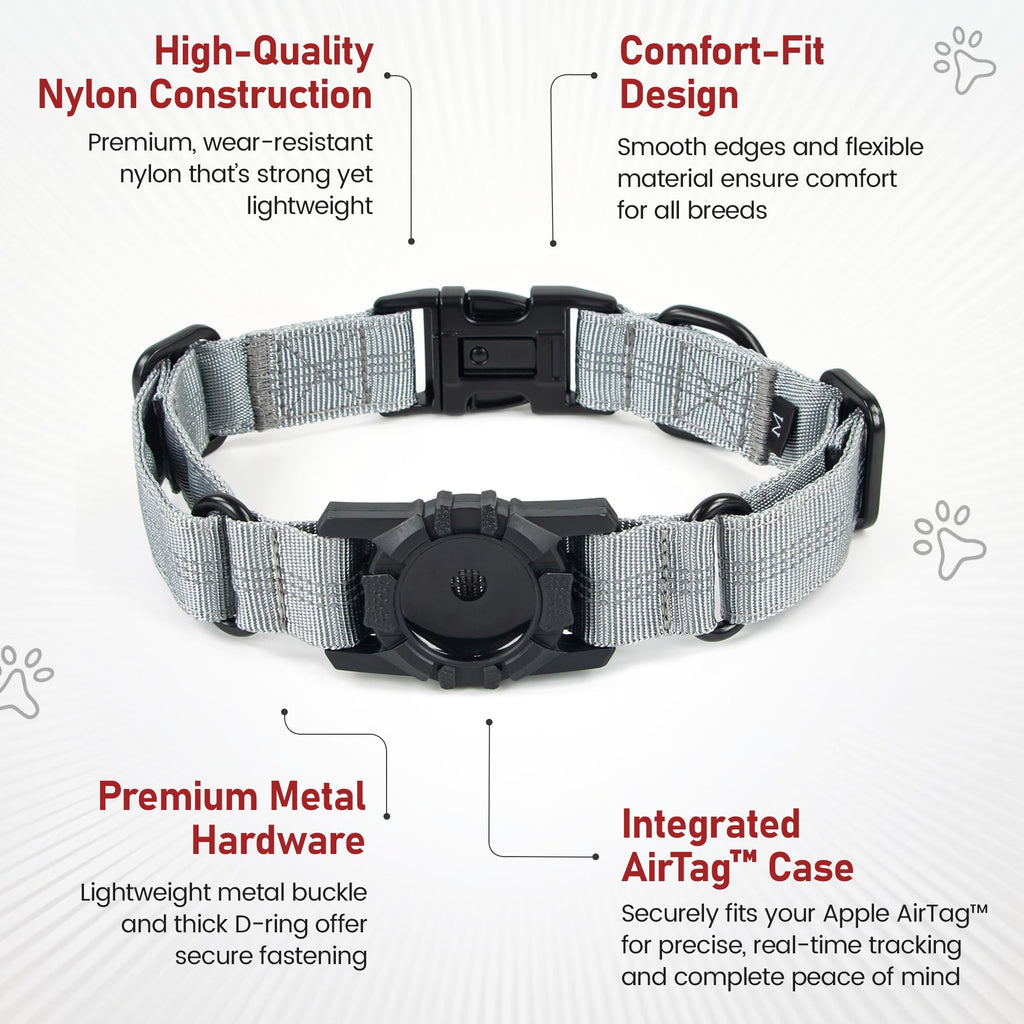 Superior Trace Dog Collar