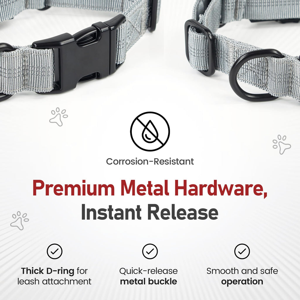 Superior Trace Dog Collar