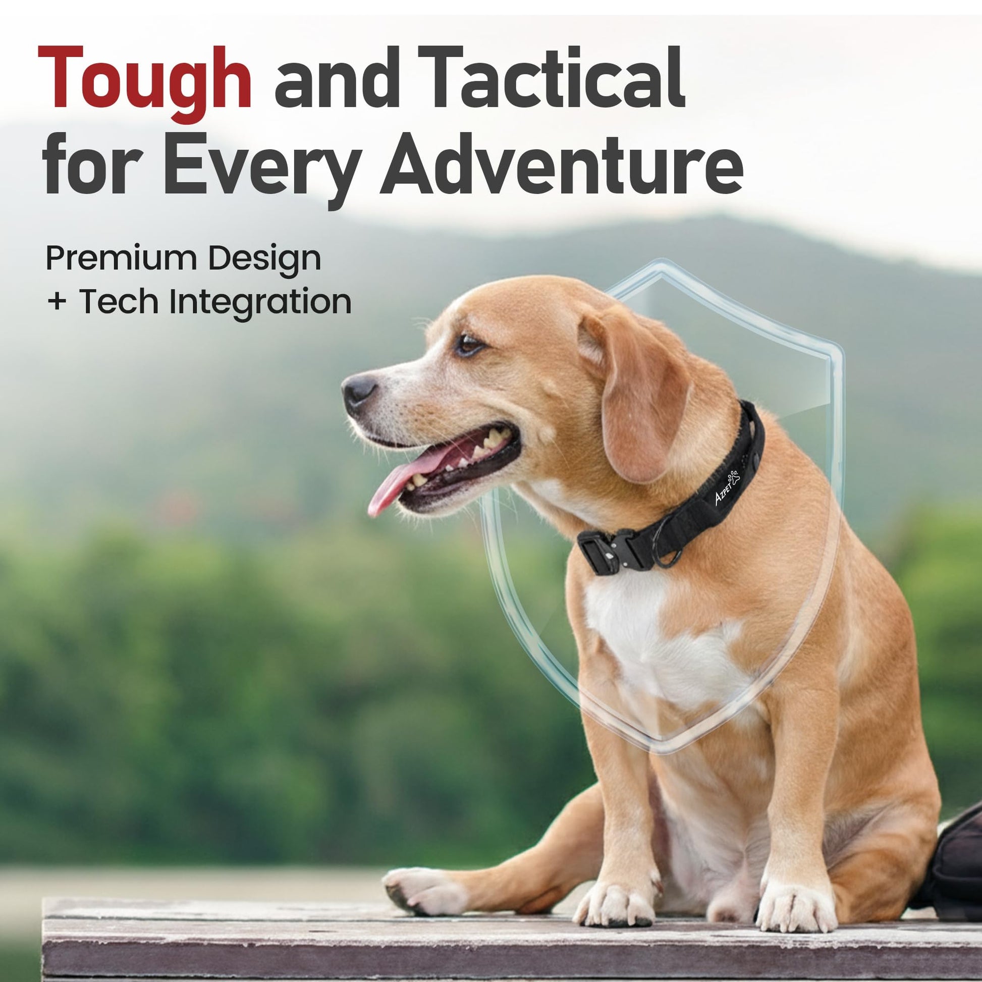 Tactical Trace 'Pocket Edition' Dog Collar