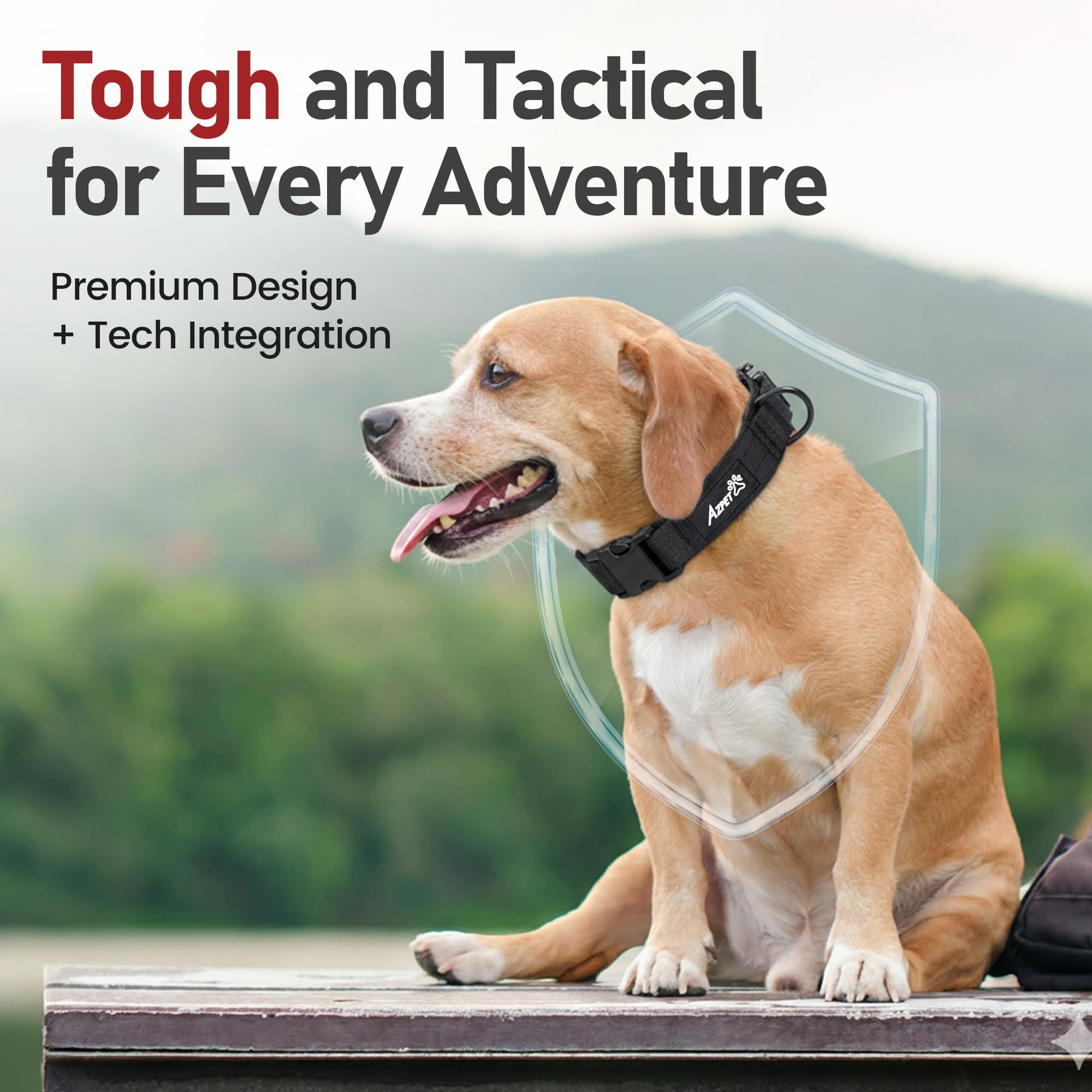 Tactical Trace Dog Collar