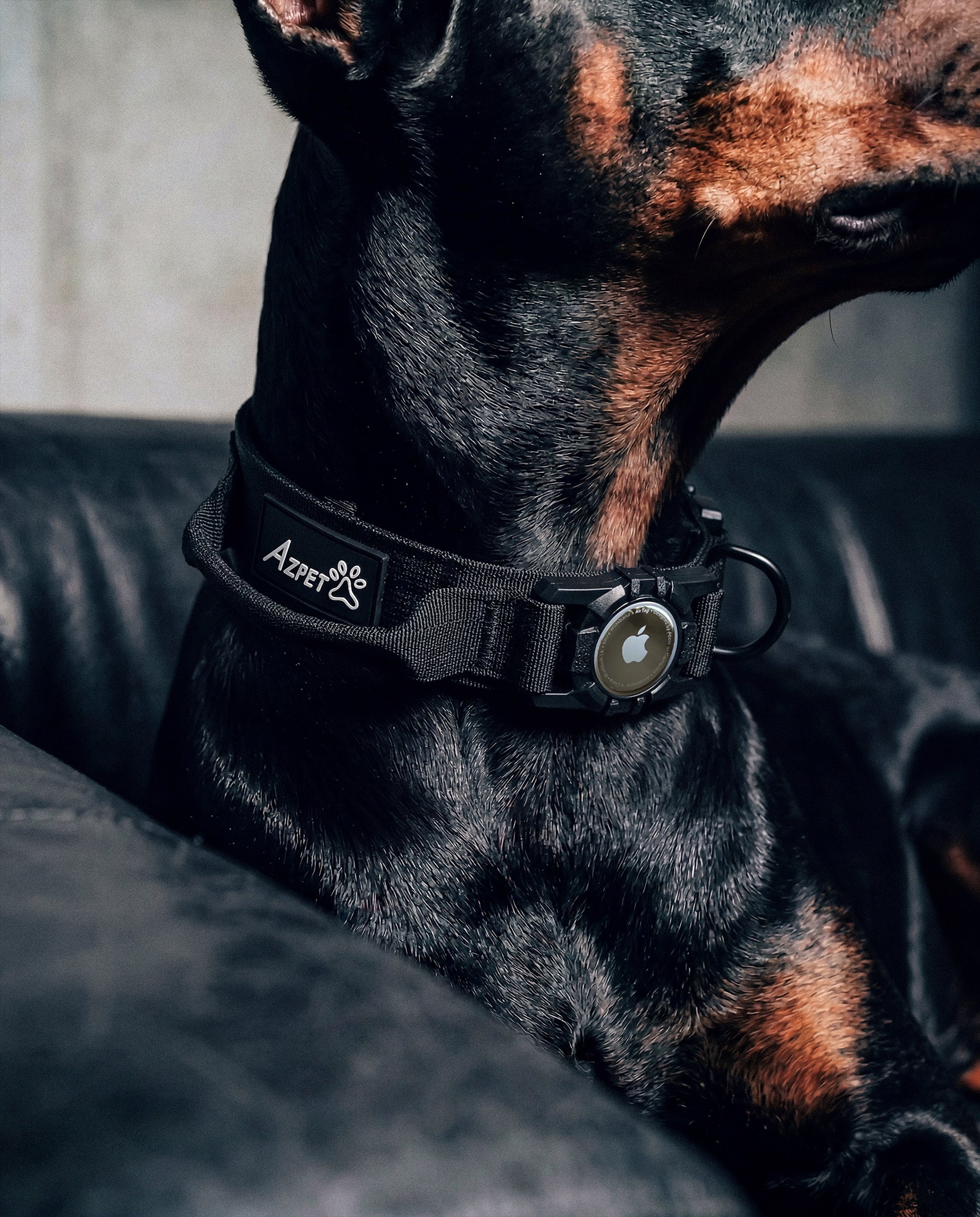 Tactical Trace Dog Collar