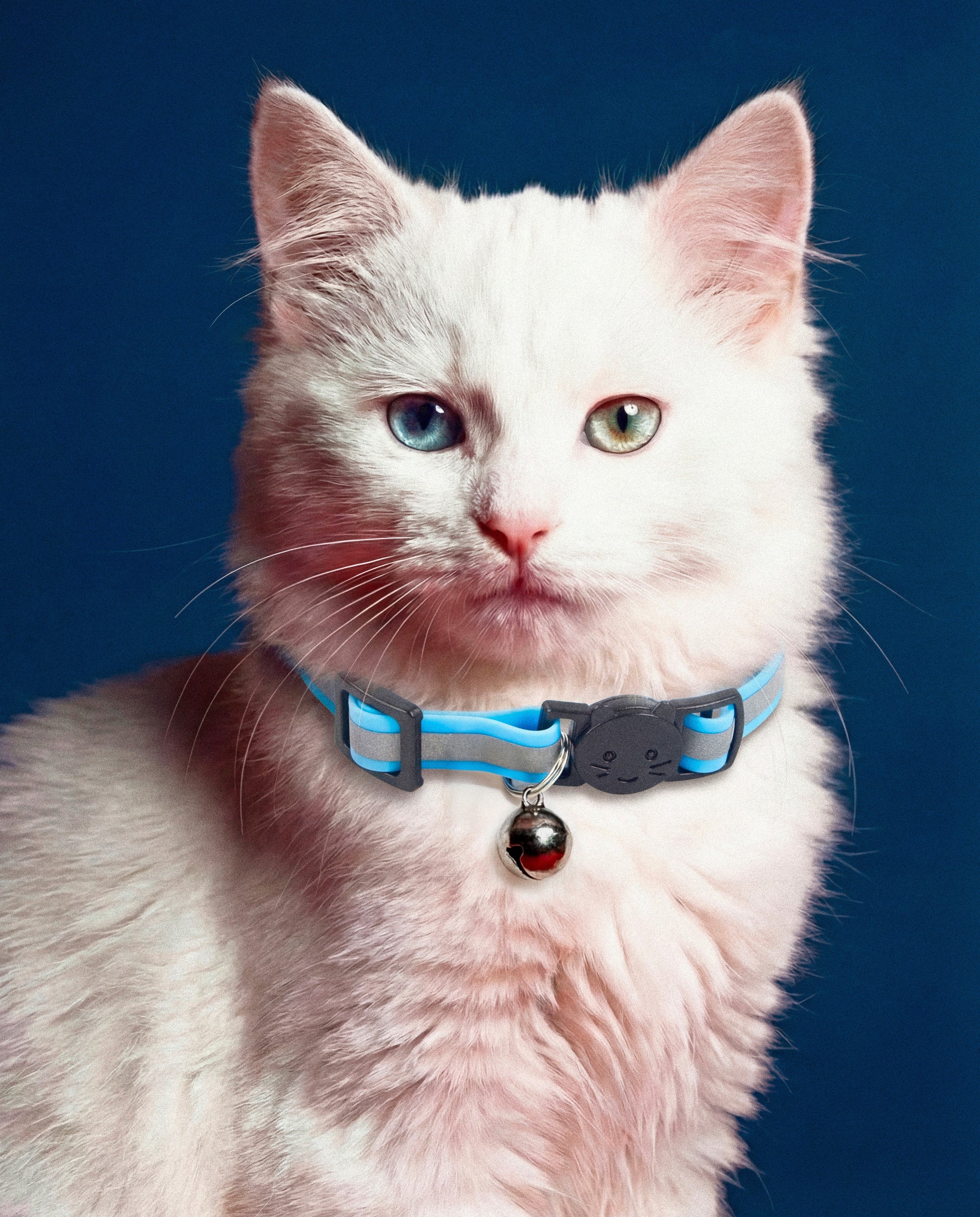 Classic Trace Reflective Cat Collar