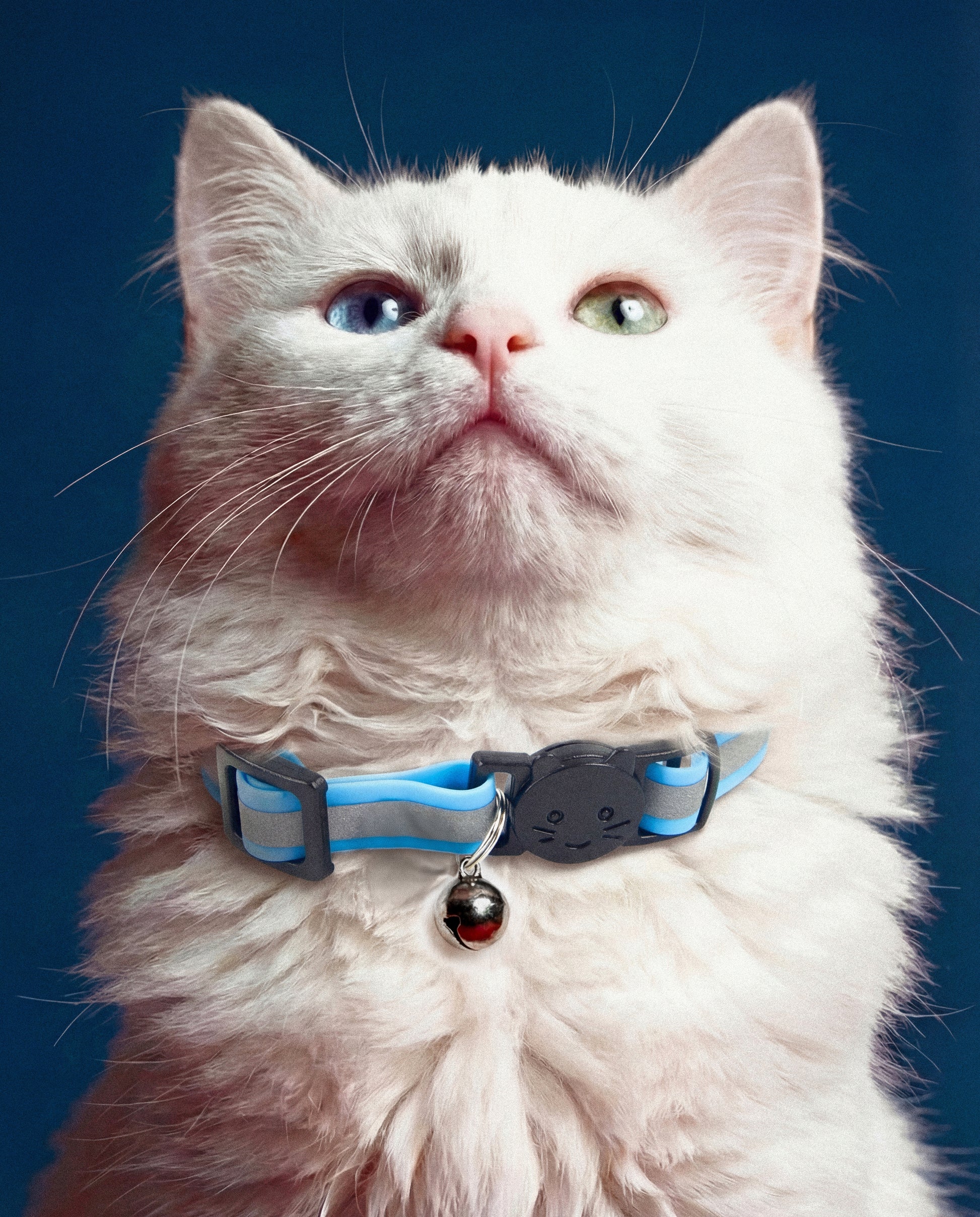 Classic Trace Reflective Cat Collar