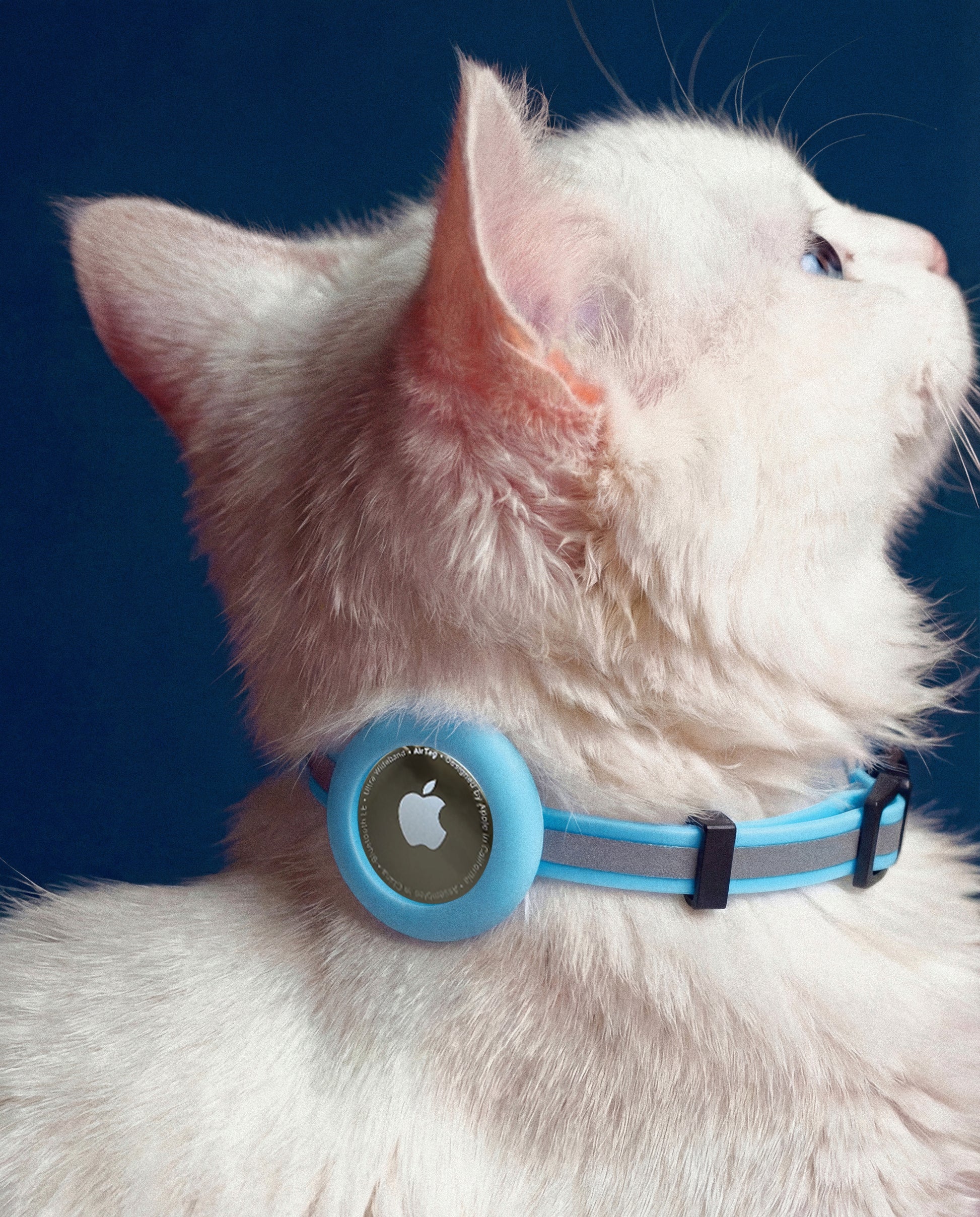 Classic Trace Reflective Cat Collar