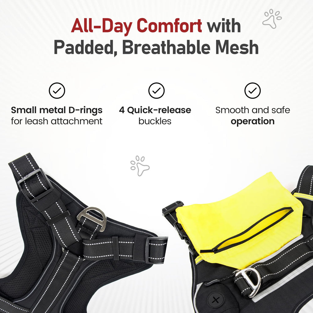 Trace Adventure Dog Harness