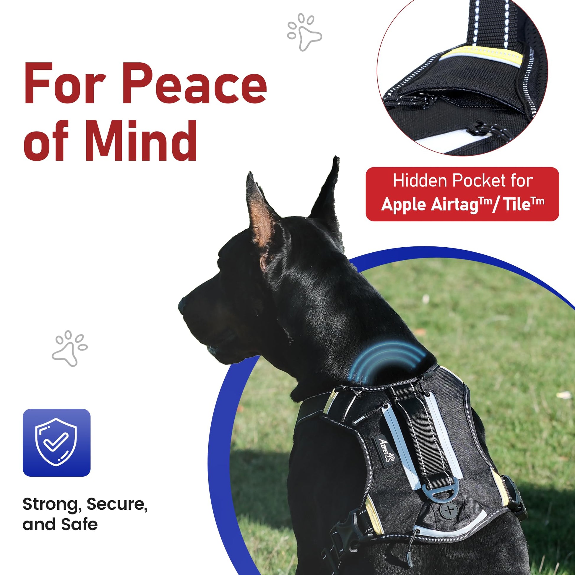 Trace Adventure Dog Harness