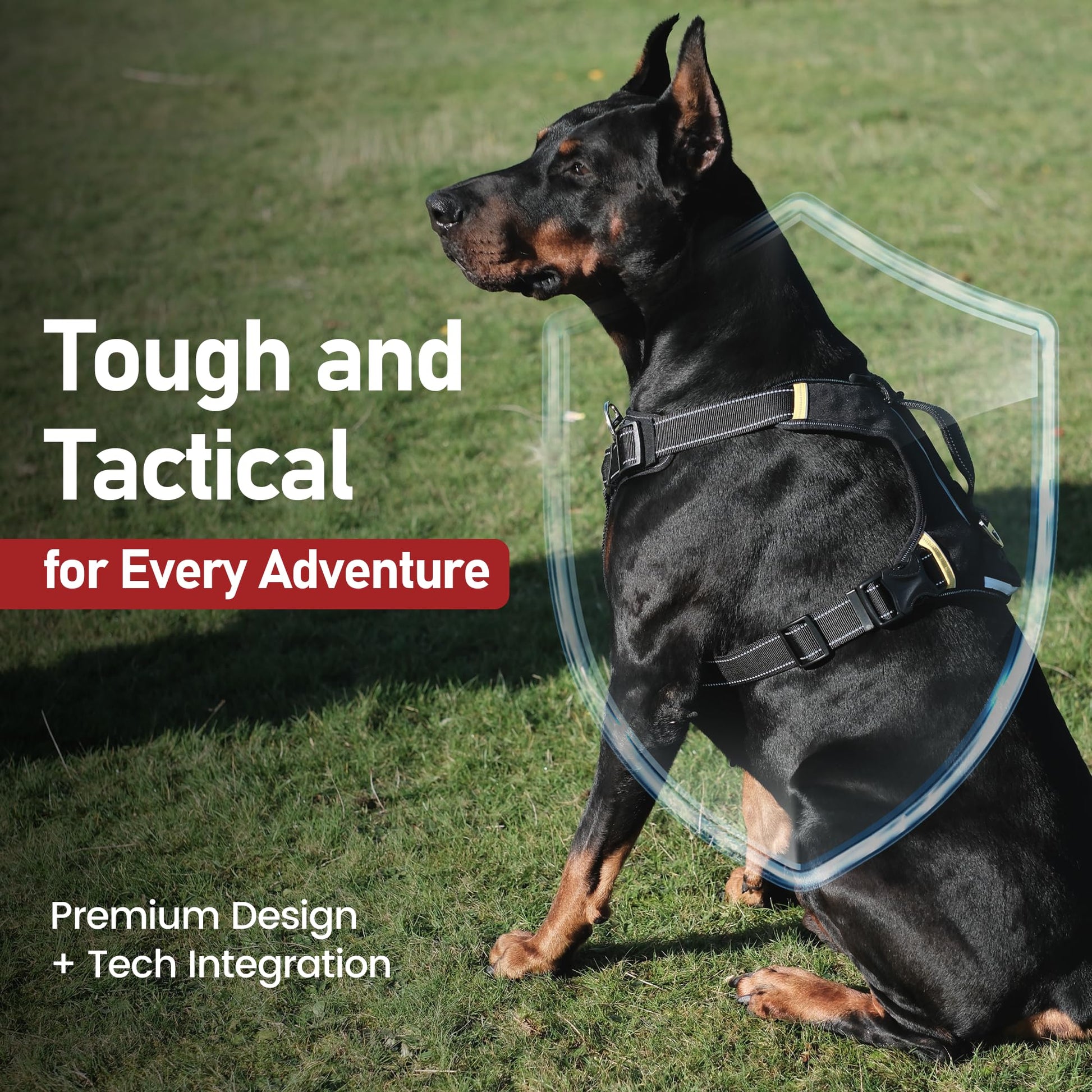 Trace Adventure Dog Harness